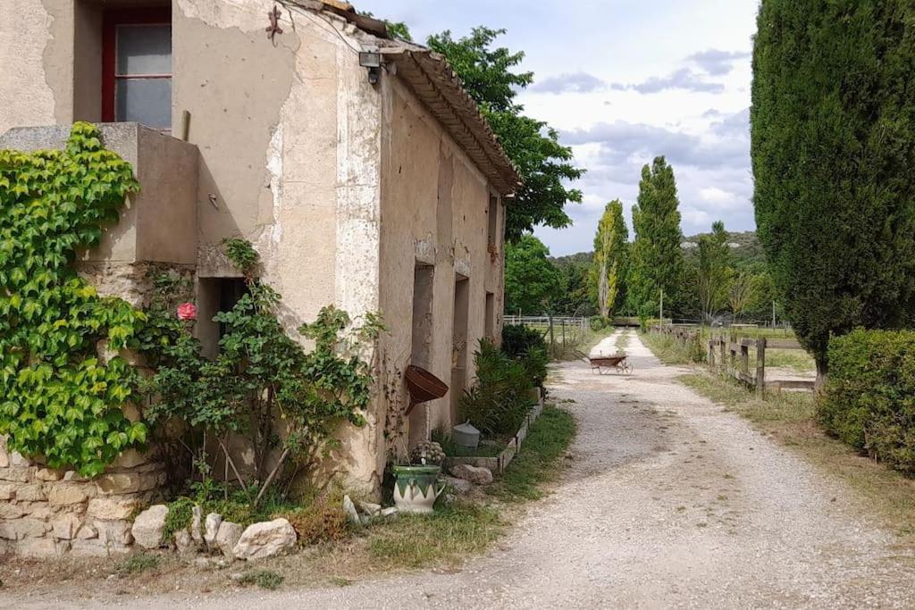 Chambre D'Hotes Manon - Domaine Les Peupliers - Lagnes Exterior foto